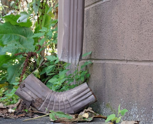 Seamless Gutters and Downspouts: The Cheapest Foundation Protection You Can Buy