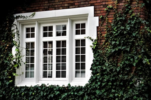 Window Installation / Ventanas